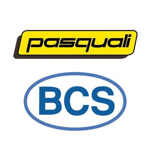 Bcs y Pasquali